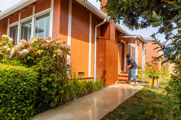 Best Pressure Washing Near Me  in Sardis City, AL